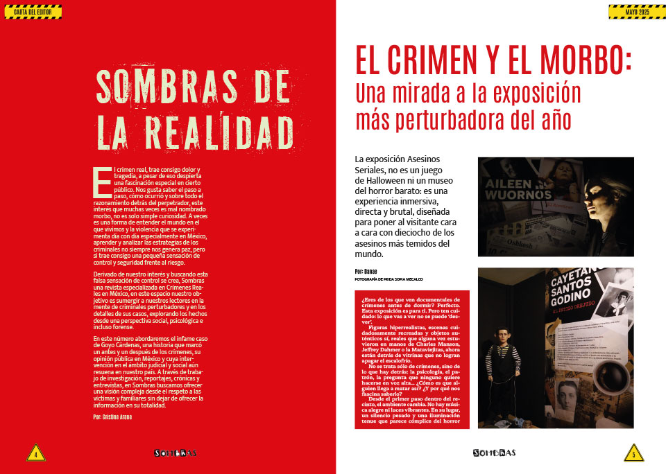 imagen revista sombras