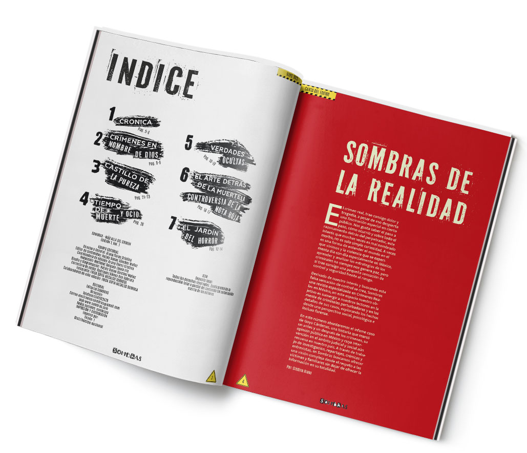 Imagen de paginas revista